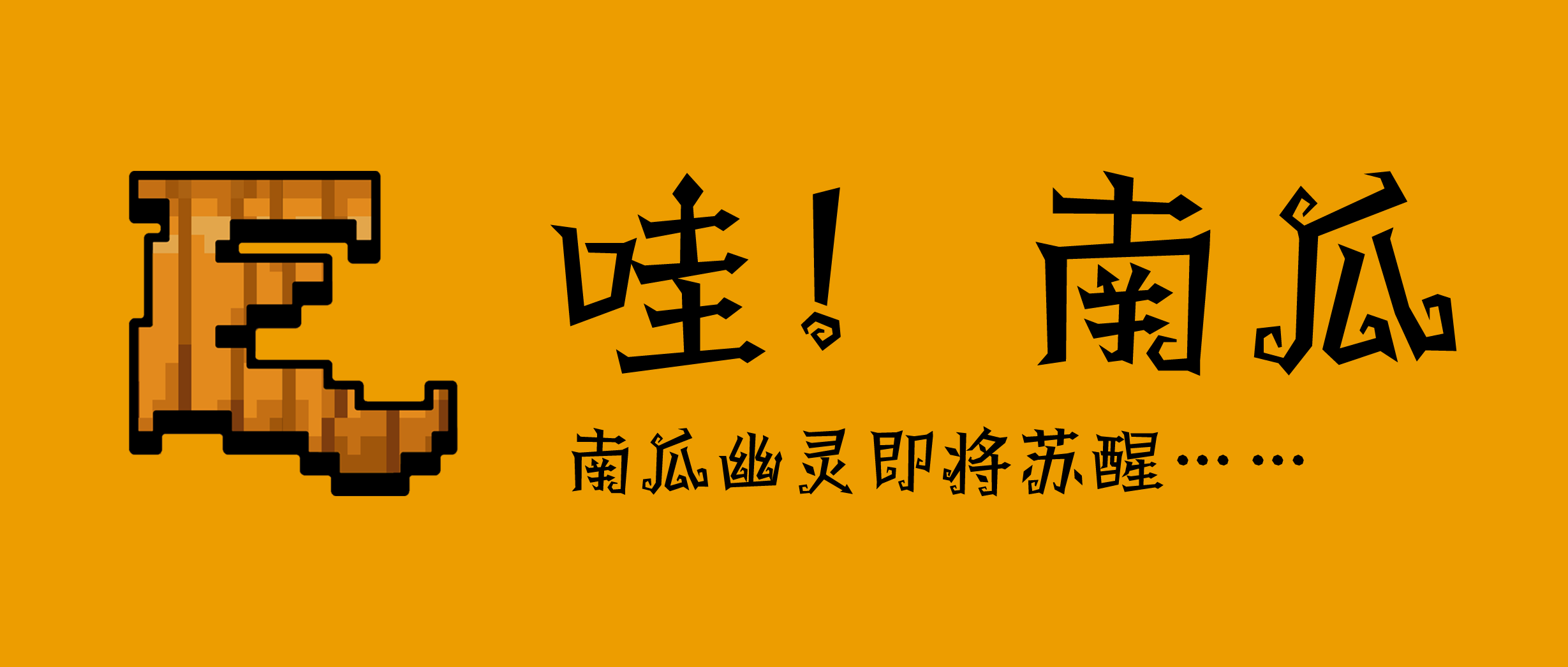 哇！南瓜