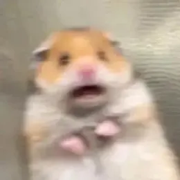 Feziok